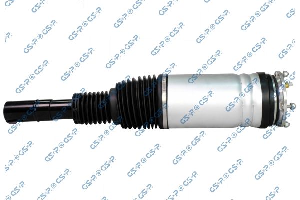 Luftfederbein GSP 30900962