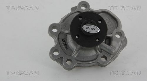 Wasserpumpe TRISCAN 8600 10035
