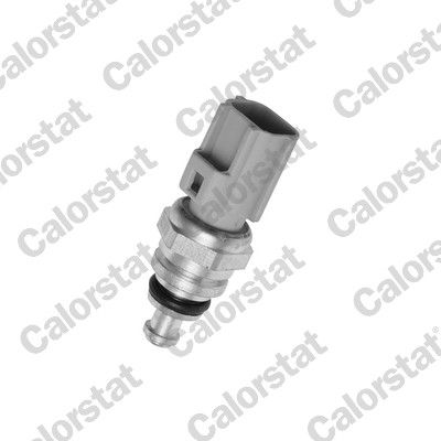 Sensor, Kühlmitteltemperatur CALORSTAT by Vernet ws3038