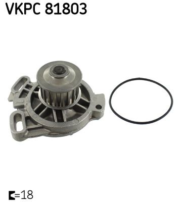 Wasserpumpe, Motorkühlung SKF VKPC 81803