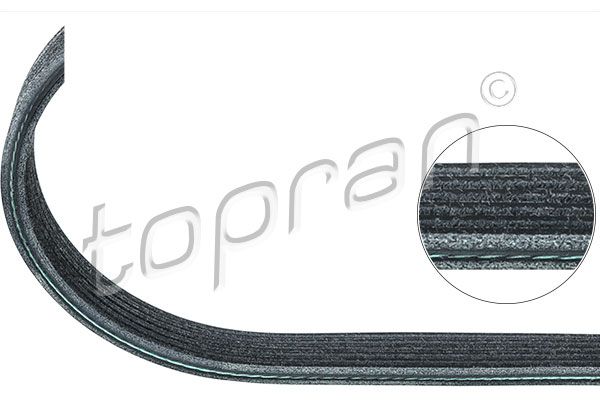 Keilrippenriemen TOPRAN 113 460