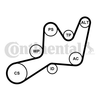 Keilrippenriemensatz CONTINENTAL CTAM 6pk1605k1