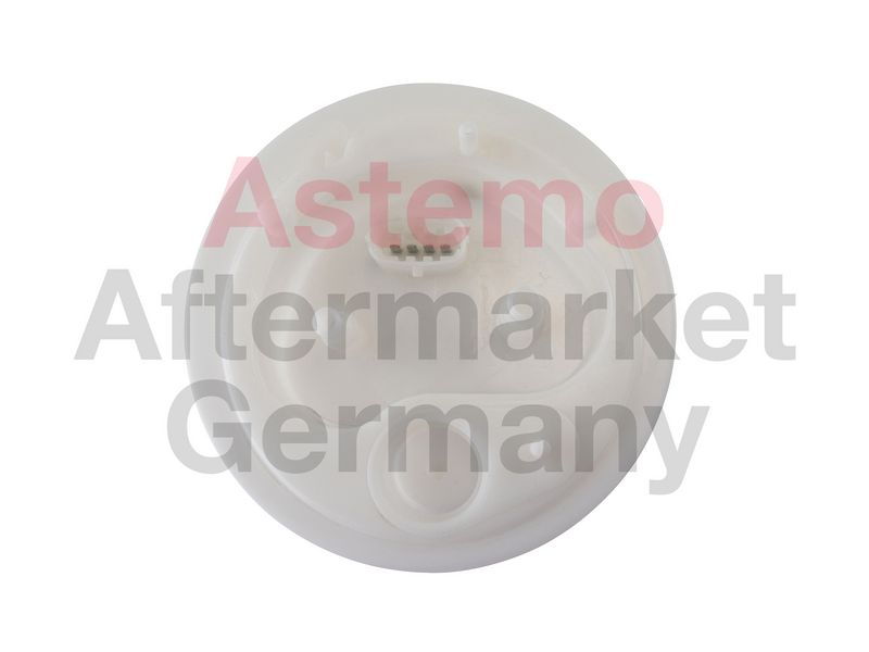 Kraftstoff-Fördereinheit HITACHI 2502714
