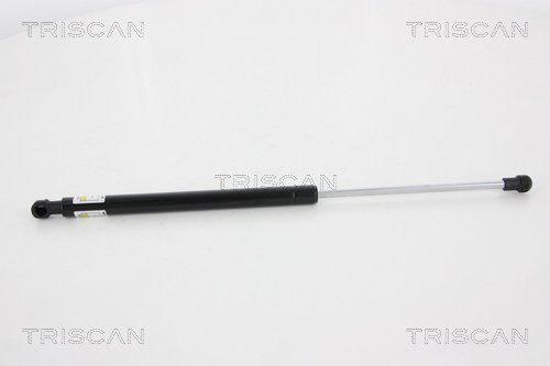 Gasfeder, Koffer-/Laderaum TRISCAN 871013275