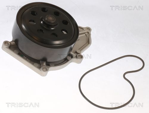 Wasserpumpe TRISCAN 8600 40023