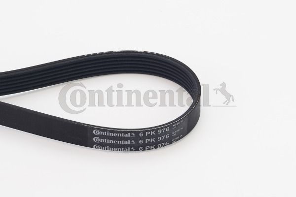 Keilrippenriemen CONTINENTAL CTAM 6PK976