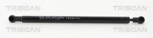 Heckklappendämpfer TRISCAN 8710 16257
