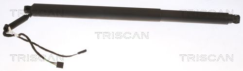 Gasfeder, Koffer-/Laderaum TRISCAN 871029312