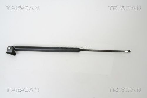 Gasfeder, Koffer-/Laderaum TRISCAN 871050240