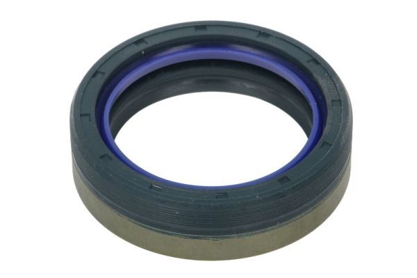 Wellendichtring, Antriebswelle BTA B06-2214