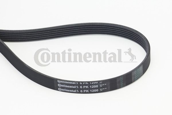 Keilrippenriemen CONTINENTAL CTAM 6PK1200
