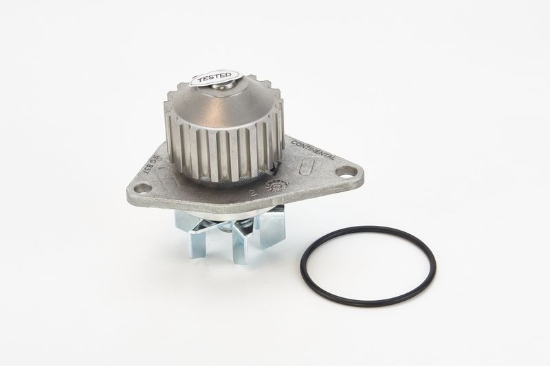 Wasserpumpe, Motorkühlung CONTINENTAL CTAM WP6079