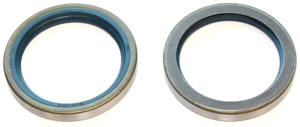 Dichtring ELRING 028.436