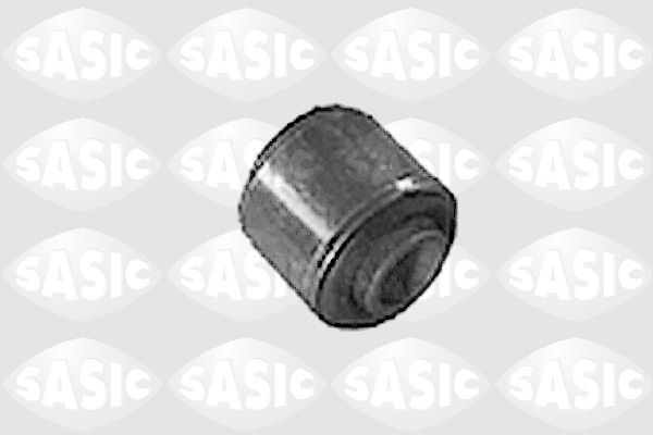 Lagerung, Schaltgetriebeträger SASIC 4362322