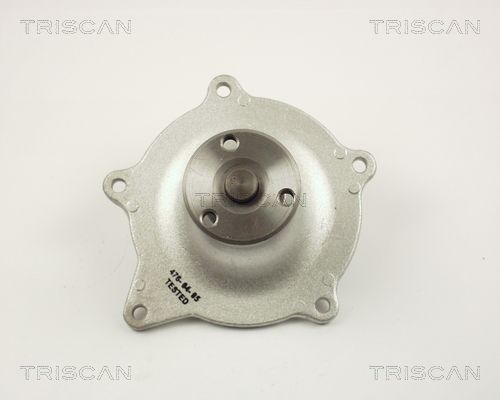 Wasserpumpe TRISCAN 8600 80005