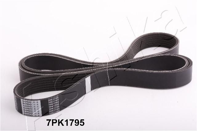 Keilrippenriemen Ashika 112-7PK1795