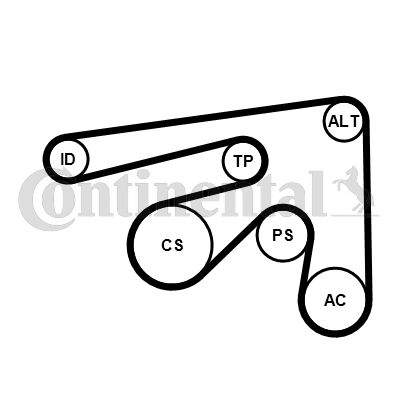 Keilrippenriemensatz CONTINENTAL CTAM 7PK2061K1