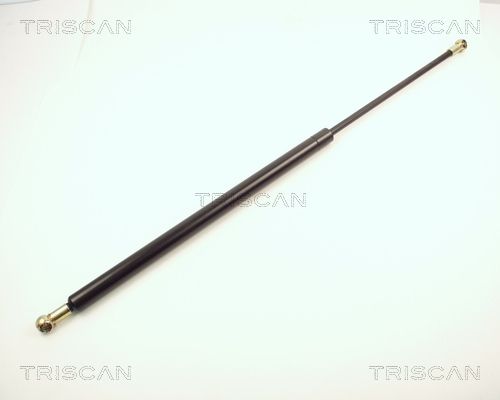 Heckklappendämpfer TRISCAN 8710 2412