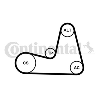Keilrippenriemensatz CONTINENTAL CTAM 7pk1035k1