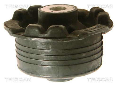 Lager Achskörper Hilfsrahmen TRISCAN 8500 24841