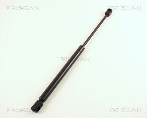 Heckklappendämpfer TRISCAN 8710 29224
