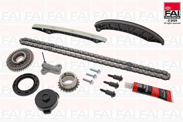 Steuerkettensatz FAI AutoParts TCK385