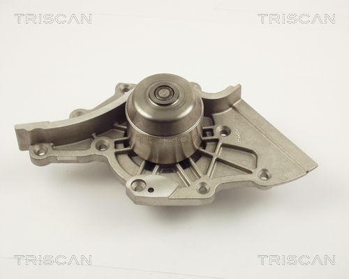Wasserpumpe TRISCAN 8600 29030