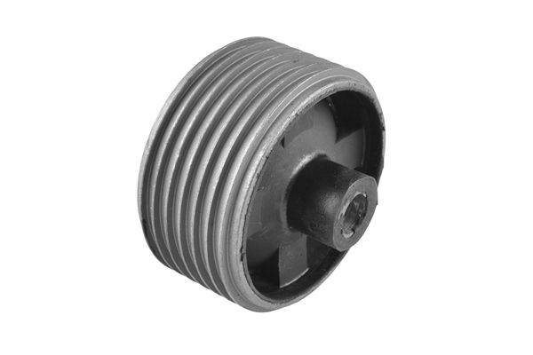 Lagerung, Motor TEDGUM 00395314
