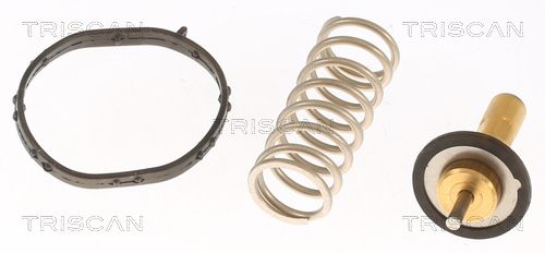 Kühlwasserthermostat TRISCAN 8620 50890