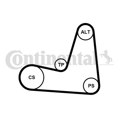 Keilrippenriemensatz CONTINENTAL CTAM 5pk1135k1