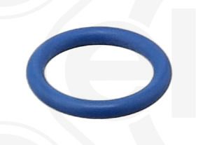 Dichtring ELRING 053.200