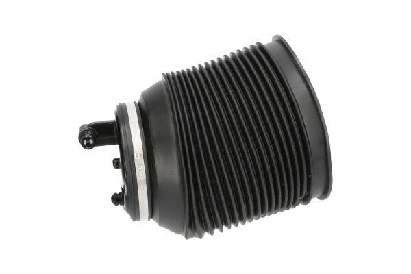 Luftfeder, Fahrwerk KAVO PARTS SAS-10016