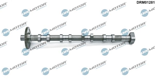 Nockenwelle DR.MOTOR AUTOMOTIVE DRM01281