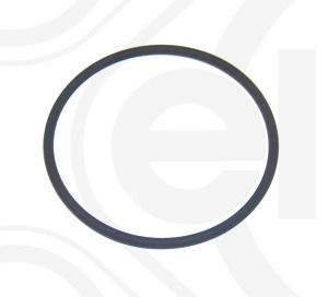 Dichtring ELRING 698.360