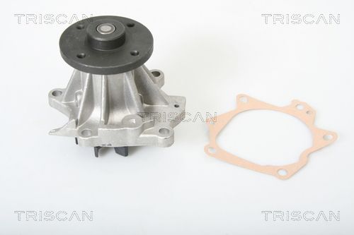 Wasserpumpe TRISCAN 8600 14008