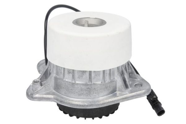 Lagerung, Motor REINHOCH RH11-3131