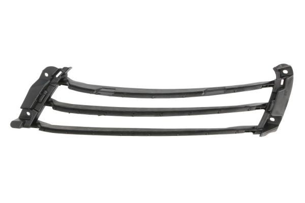 Halter, Kühlergitter BLIC 6502-07-5725922P