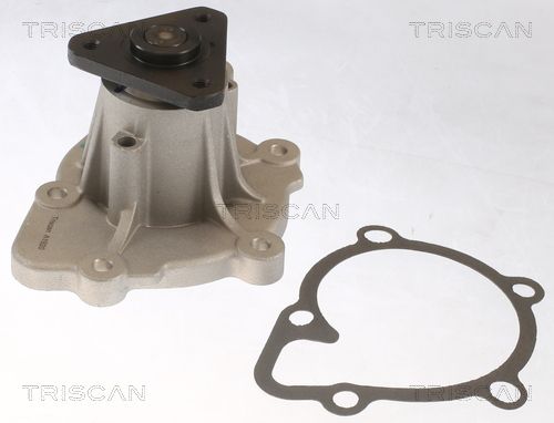 Wasserpumpe TRISCAN 8600 43029