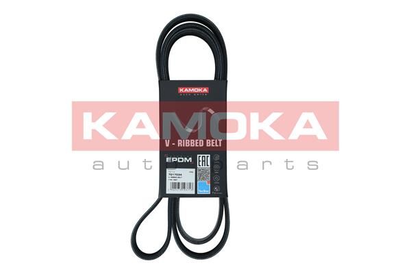 Keilrippenriemen KAMOKA 7017034