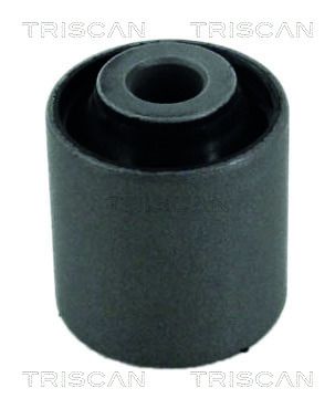 Lagerung, Lenker TRISCAN 850040808