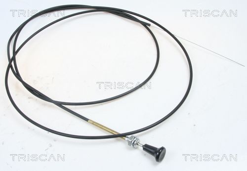 Luftklappenwelle, Vergaser TRISCAN 814091004