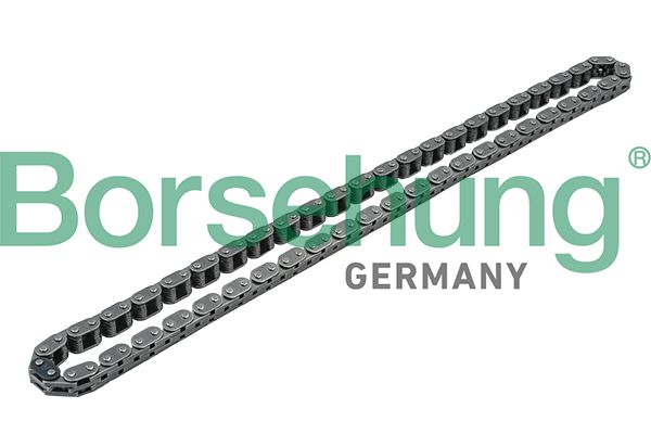 Steuerkette BORSEHUNG B1C011