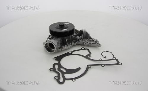 Wasserpumpe TRISCAN 8600 23052