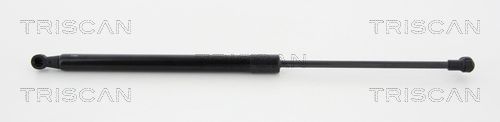 Heckklappendämpfer TRISCAN 8710 11294