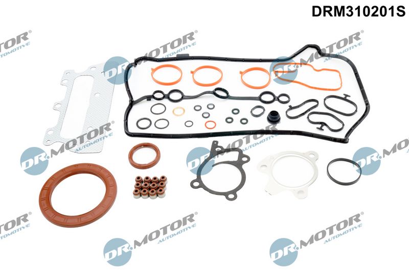 Dichtungsvollsatz  Motor Dr.Motor Automotive DRM310201S