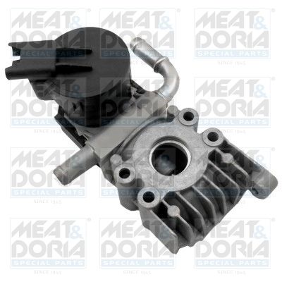 AGR-Ventil MEAT & DORIA 88491