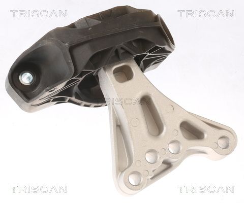 Motorlager TRISCAN 8505 28115