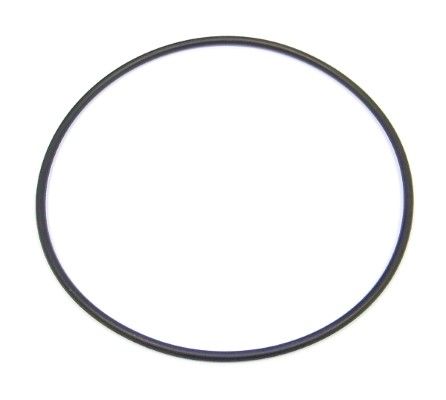 Dichtring ELRING 863.631