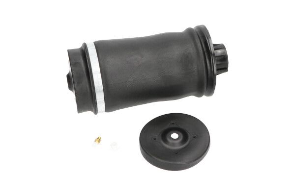 Luftfeder, Fahrwerk KAVO PARTS SAS-10006