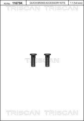 Schraubensatz, Bremsscheibe TRISCAN 8105116016